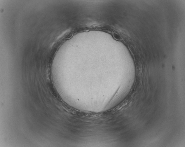 X0000067521205200605051846