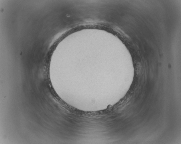 X0000067521208200605051846