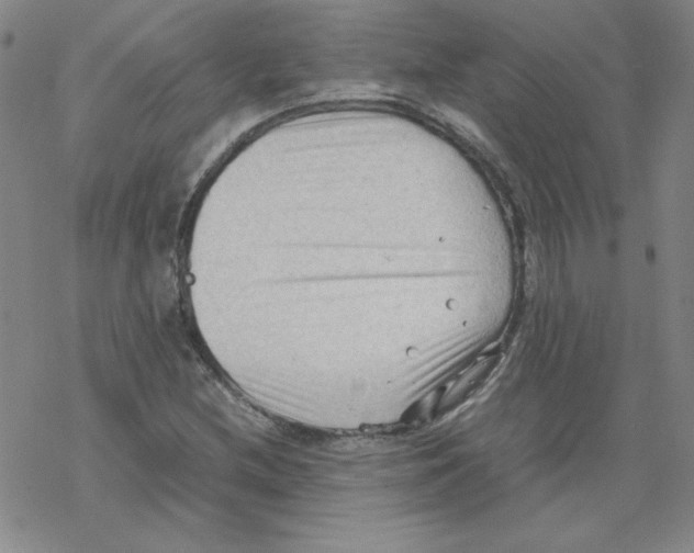 X0000067521212200605051846