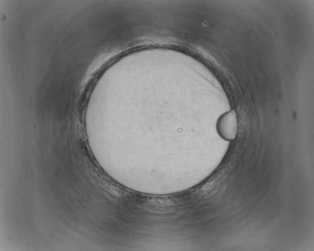 X0000067521215200605051846