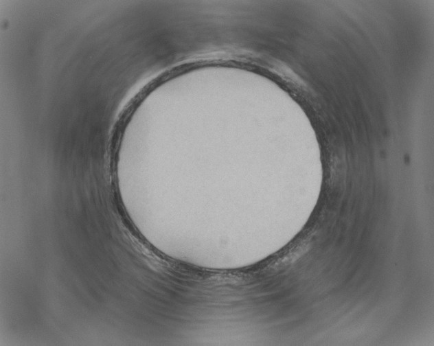 X0000067521216200605051846