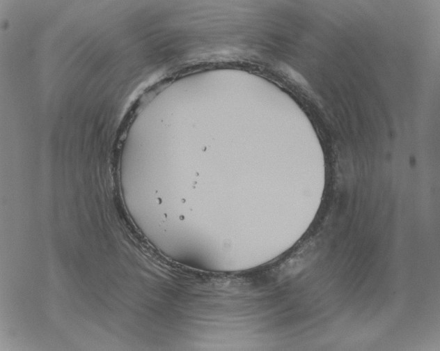 X0000067521218200605051846