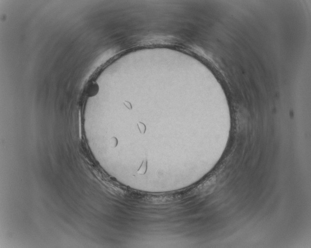 X0000067521219200605051846