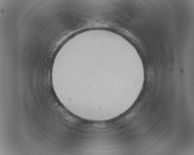 X0000067521220200605051846