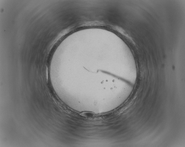 X0000067521221200605051846