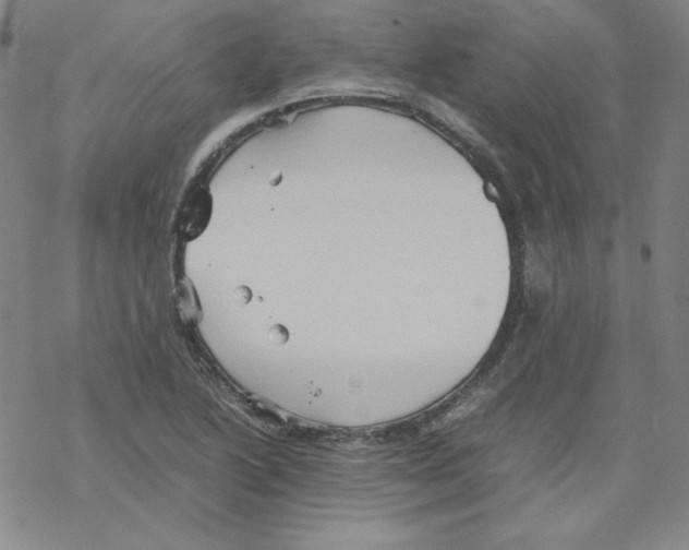 X0000067521222200605051846