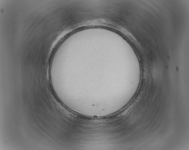 X0000067521224200605051846