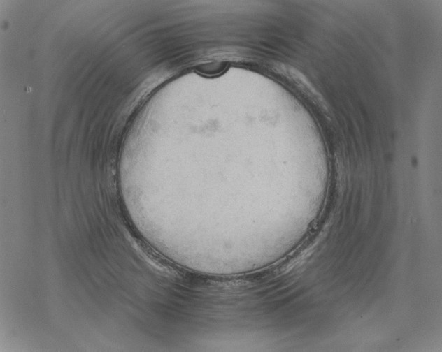 X0000067521225200605051846