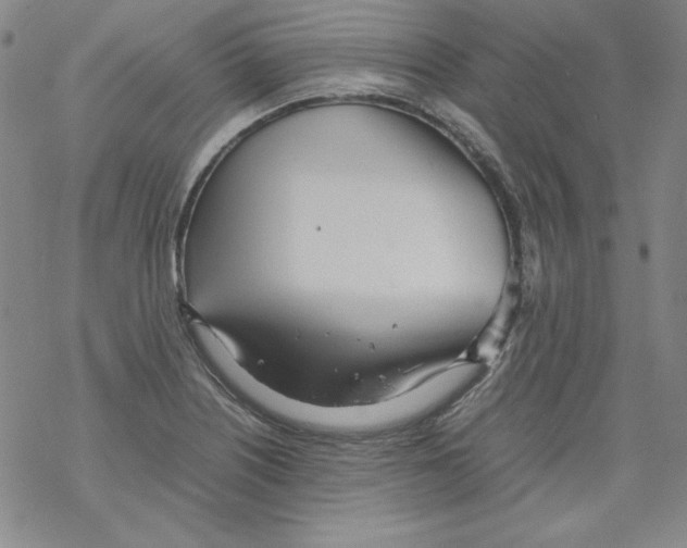 X0000067521226200605051846