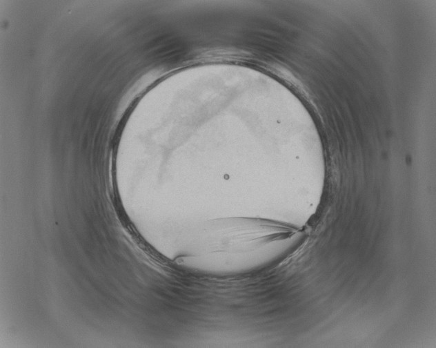 X0000067521227200605051846