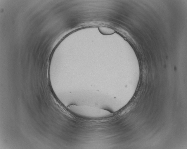 X0000067521228200605051846