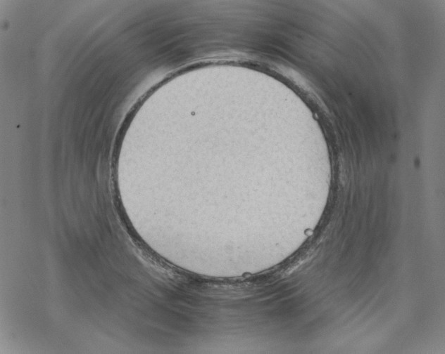 X0000067521229200605051846