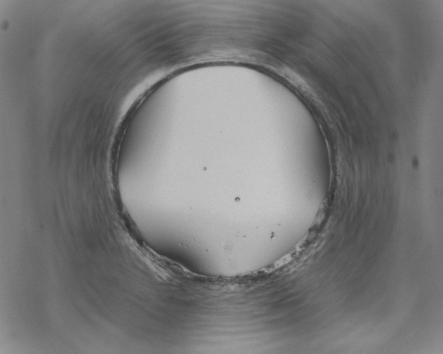 X0000067521230200605051846