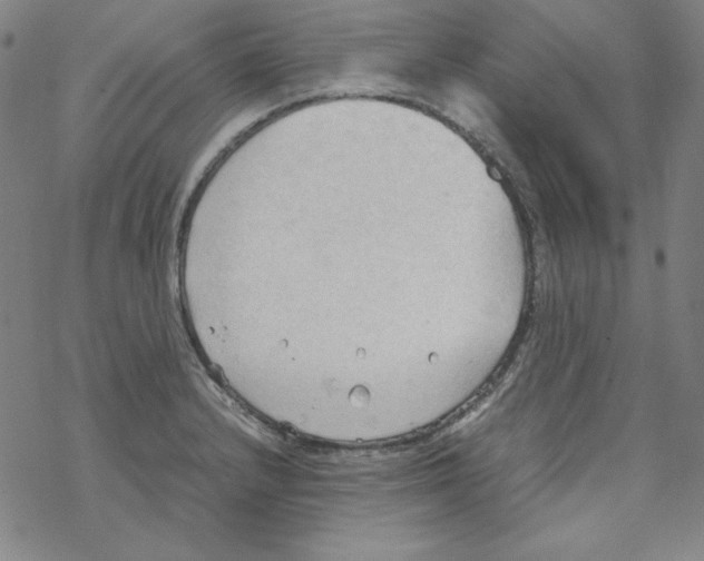 X0000067521232200605051846