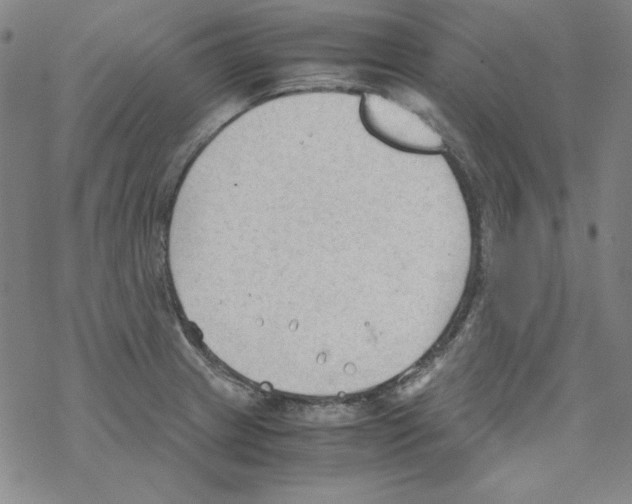 X0000067521233200605051846