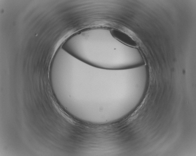 X0000067521234200605051846