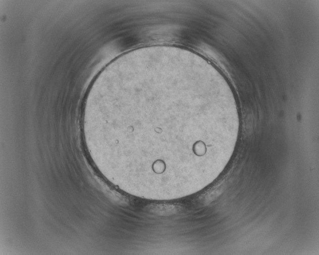 X0000067521235200605051846