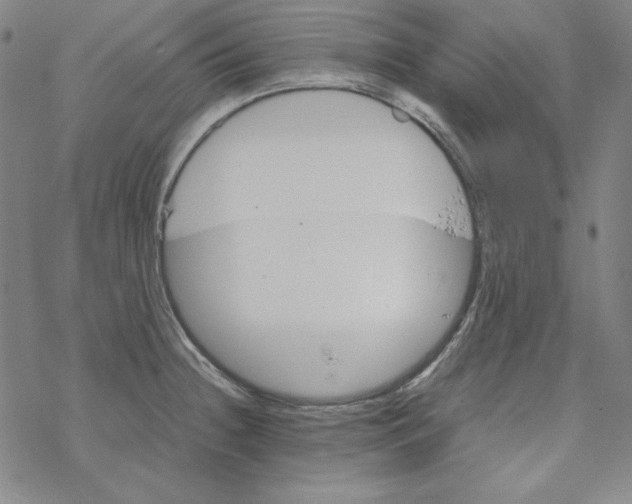 X0000067521236200605051846