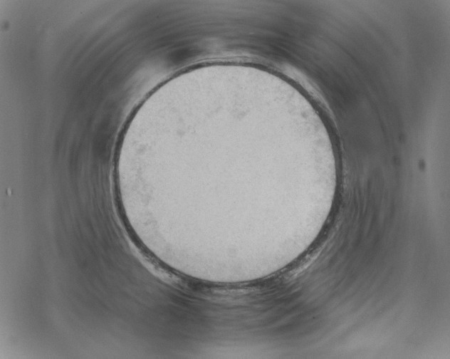 X0000067521237200605051846