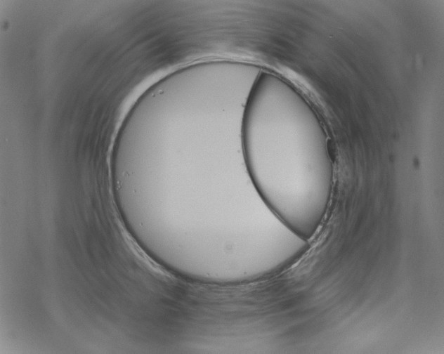 X0000067521238200605051846