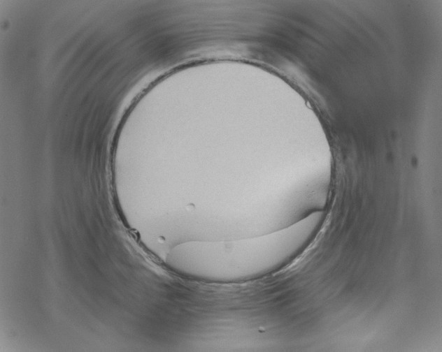 X0000067521240200605051846