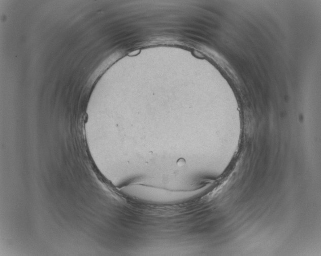 X0000067521241200605051846