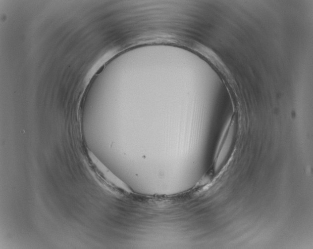 X0000067521242200605051846