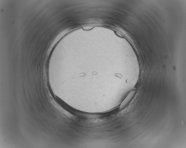 X0000067521243200605051846