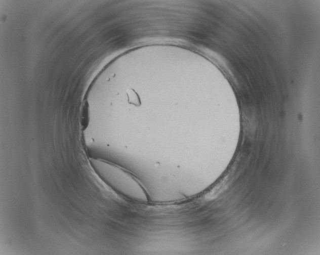 X0000067521244200605051846