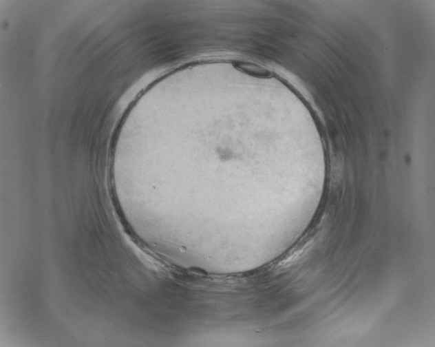 X0000067521245200605051846