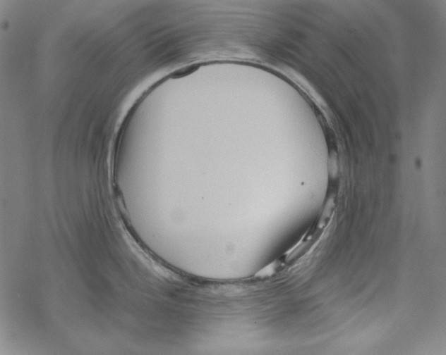 X0000067521246200605051846