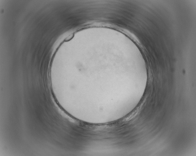 X0000067521247200605051846