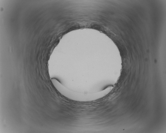 X0000067521249200605051845