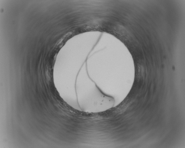 X0000067521250200605051845