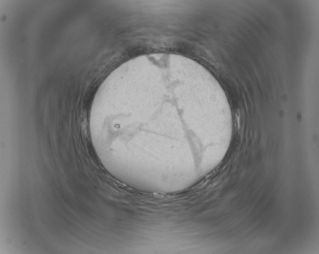 X0000067521251200605051845