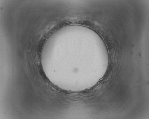 X0000067521253200605051845