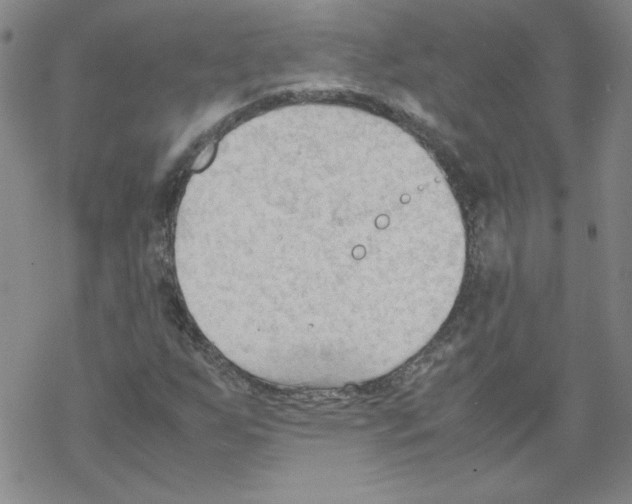 X0000067521255200605051845