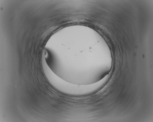 X0000067521257200605051845