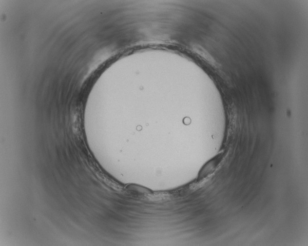 X0000067521258200605051845