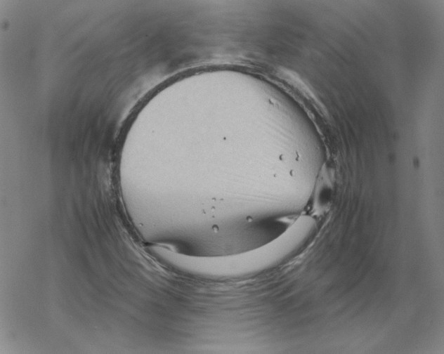 X0000067521260200605051845