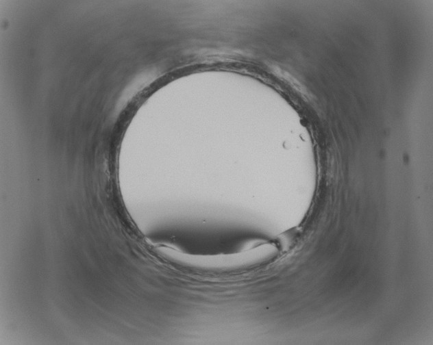 X0000067521261200605051845