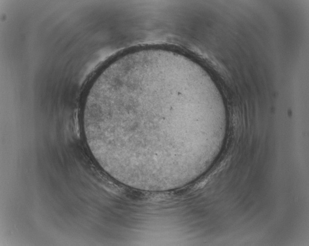 X0000067521262200605051845