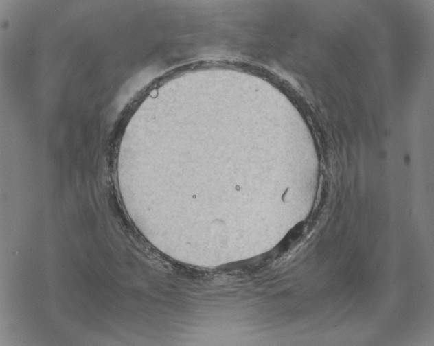 X0000067521263200605051845