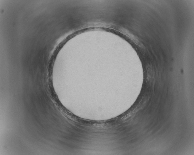 X0000067521264200605051845