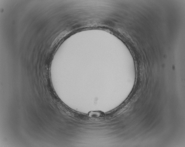 X0000067521265200605051845