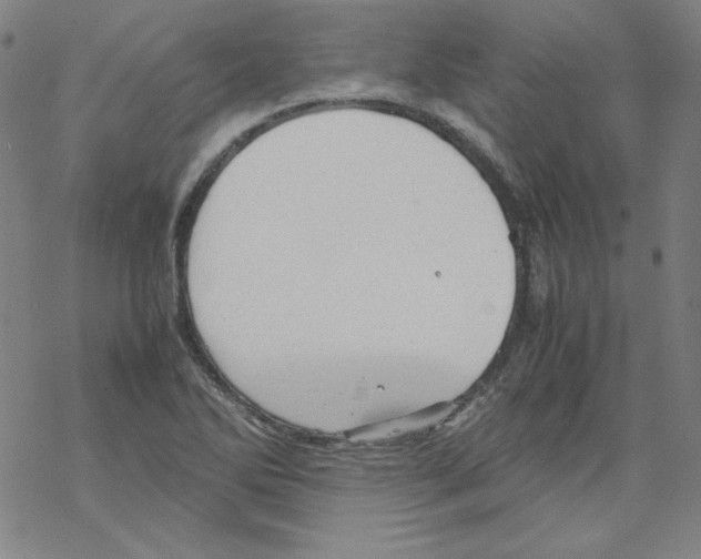 X0000067521270200605051845