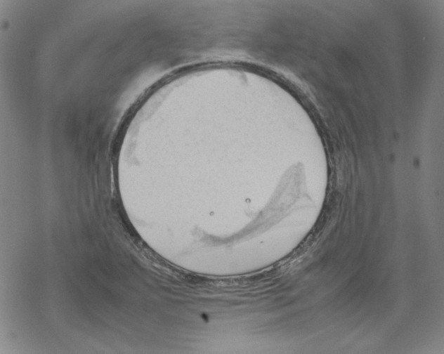 X0000067521271200605051845