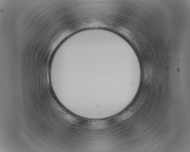 X0000067521274200605051845