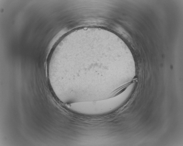 X0000067521275200605051845