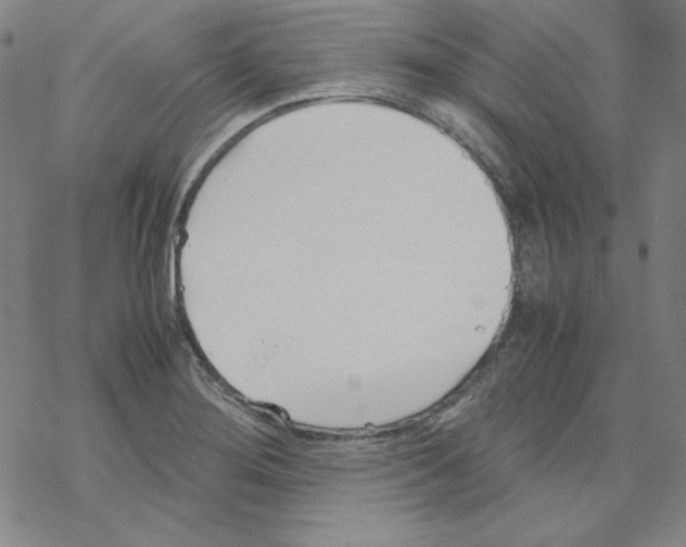 X0000067521276200605051845